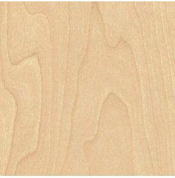 Laminavimo juosta su klijais